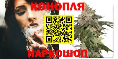 прущие крисы Пенза