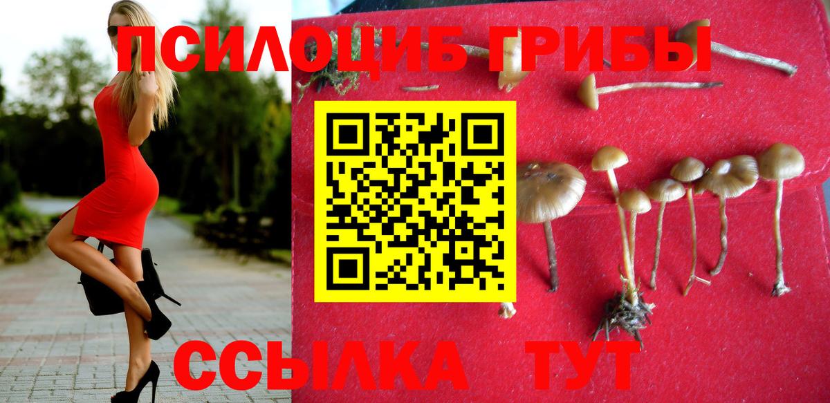 Псилоцибиновые грибы Psilocybine cubensis Сунжа