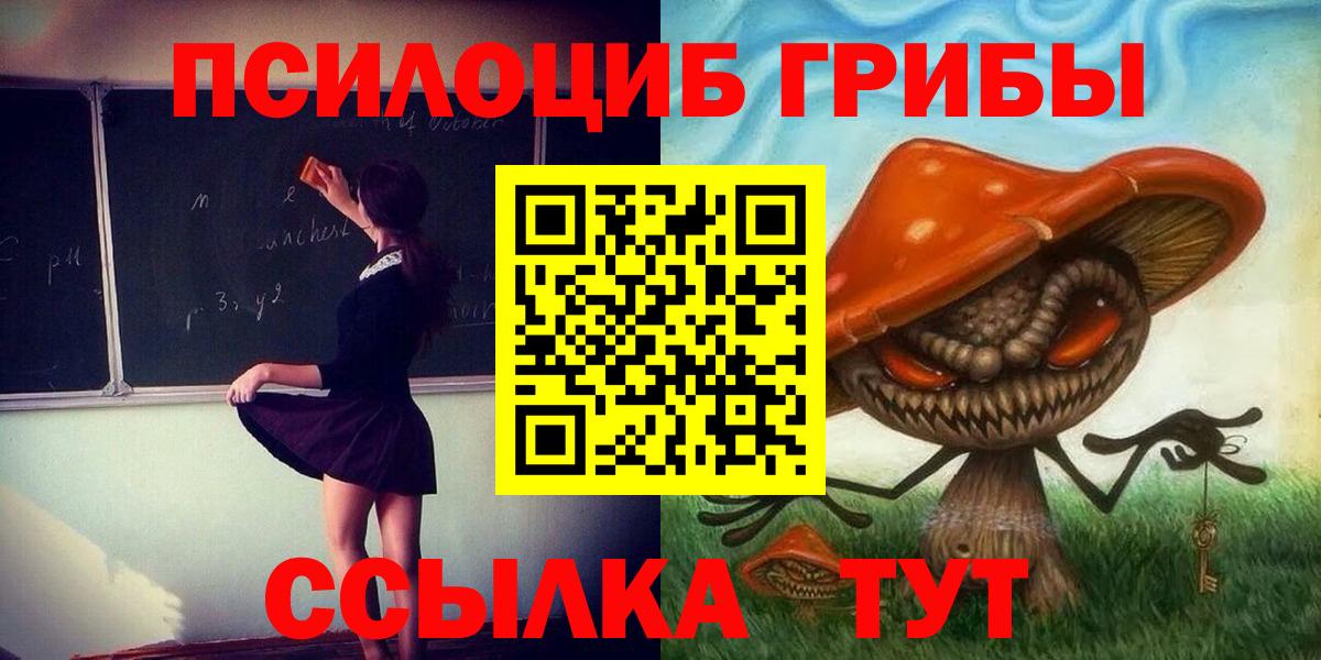 Сунжа  Галлюциногенные грибы мицелий  Вход с VPN  Галлюциногенные грибы Psilocybine cubensis 