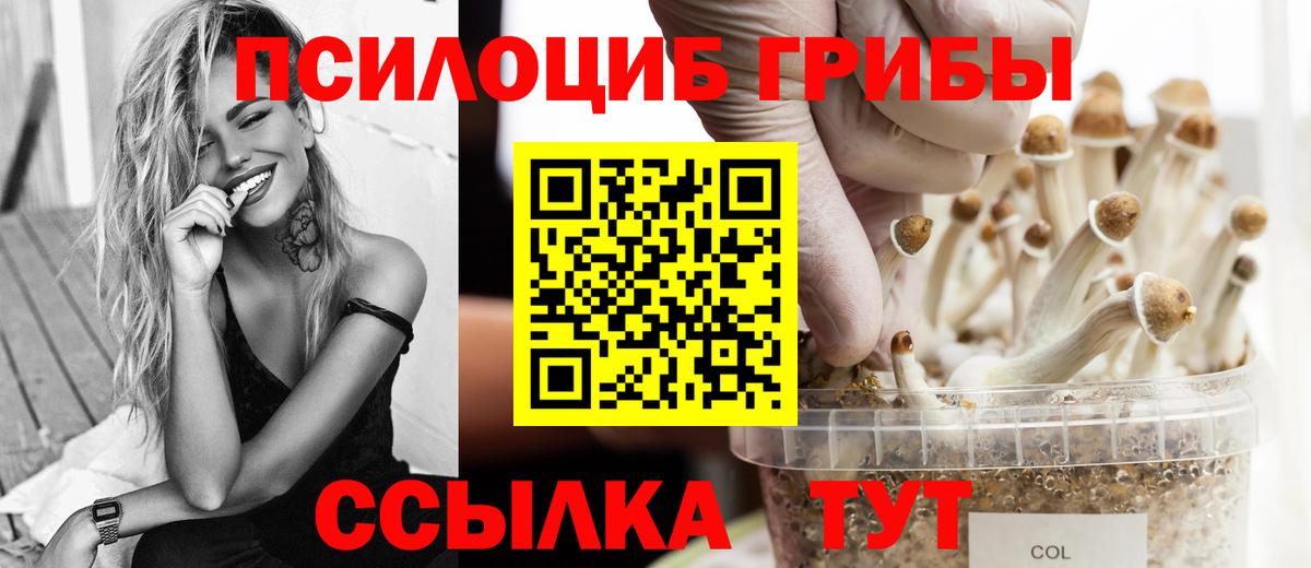 Псилоцибиновые грибы GOLDEN TEACHER  Сунжа 