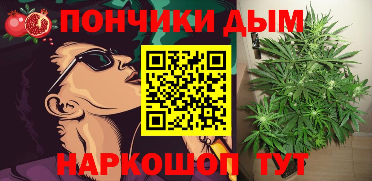 Конопля планчик  Сунжа  МАРИХУАНА OG Kush 